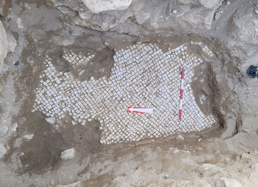 Fig. 2. Trench T2-S. The mosaic after the application of mortar bands and cleaning, before reburial, 2023 (image by Julia Burdajewicz).