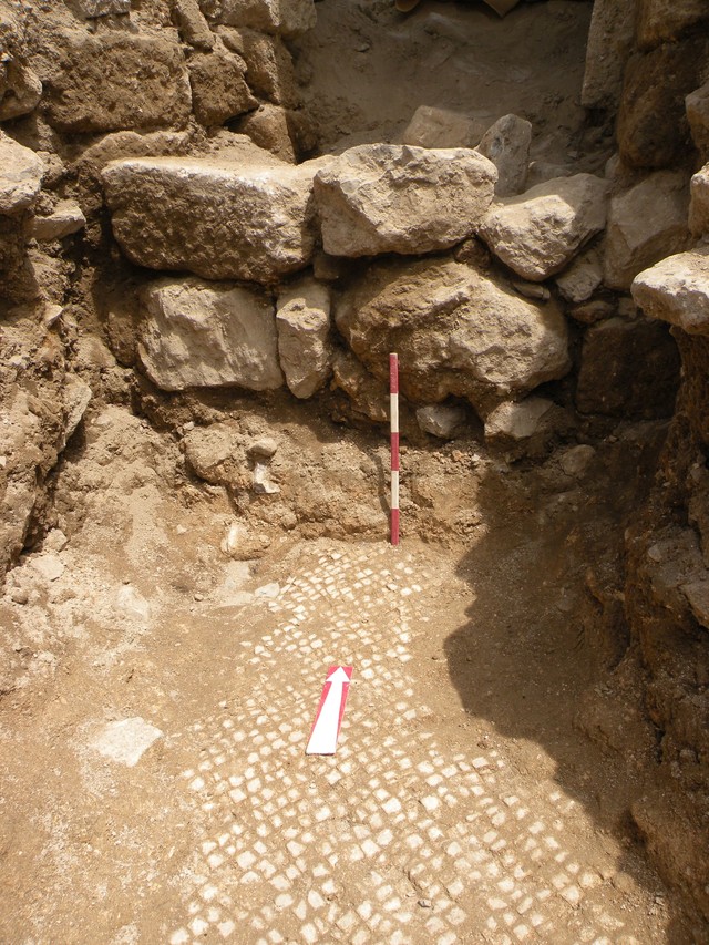 Fig. 15. Mosaic floor F059 in Trench 2-S, viewed from the south (image by Mariusz Burdajewicz).