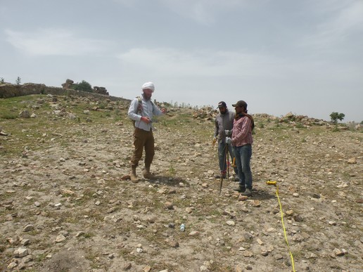 Fig. 31. Resistivity survey. View from the North-East (image by Mariusz Burdajewicz).