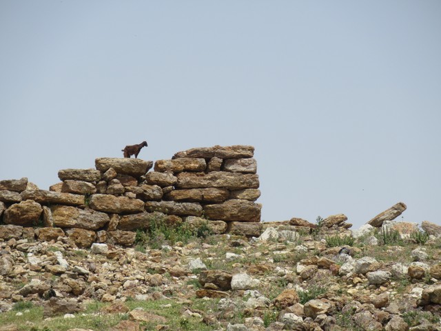 2024 excavations photo 3